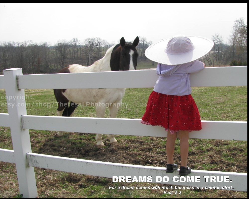 dreams-do-come-true-horse-single